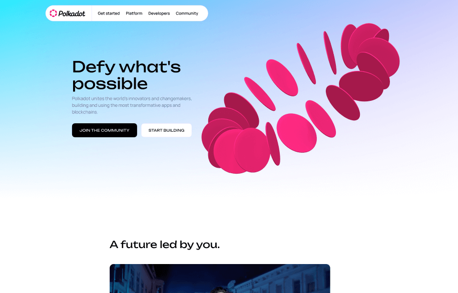 new polkadot website